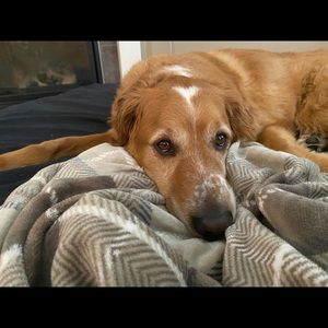 Meet your Posher, Janette